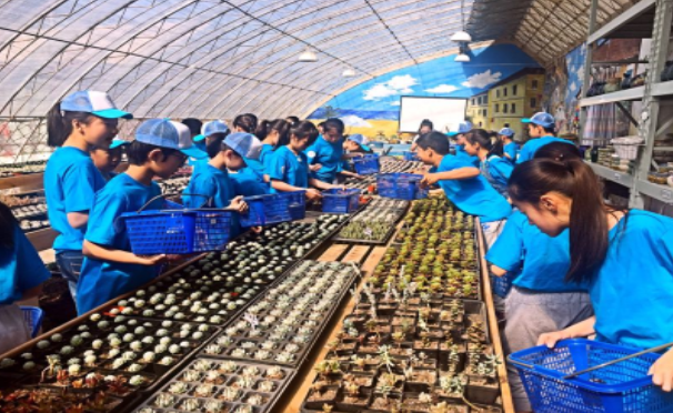 1678865926809.png image.png/